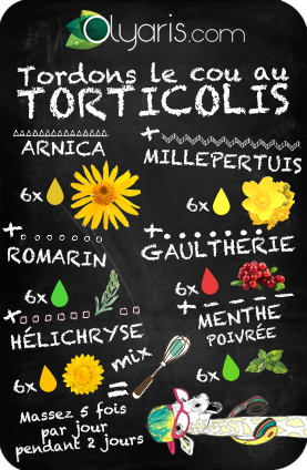 Macérât Huileux d'Arnica - Olyaris